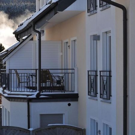 Ferienwohnung die Großzügige Willingen  Exterior foto