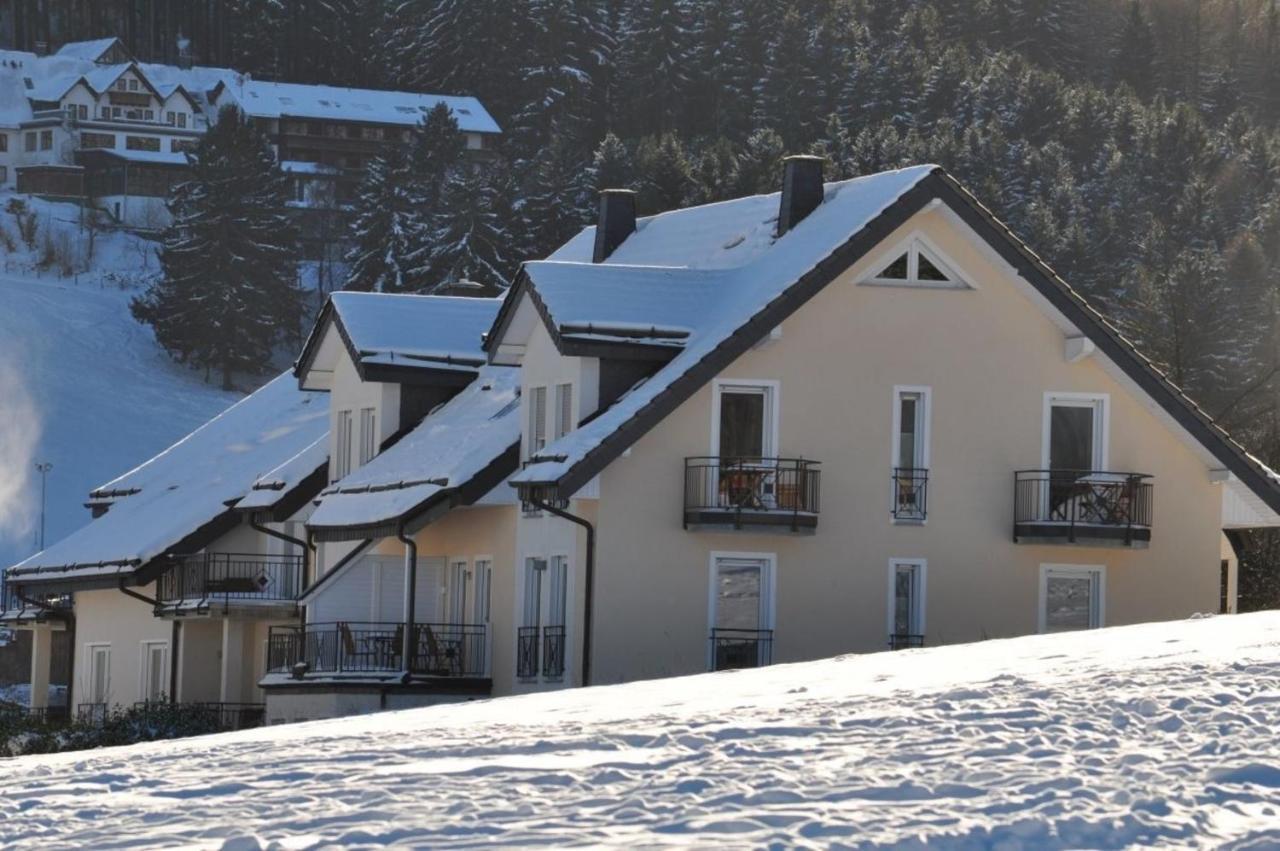 Ferienwohnung die Großzügige Willingen  Exterior foto